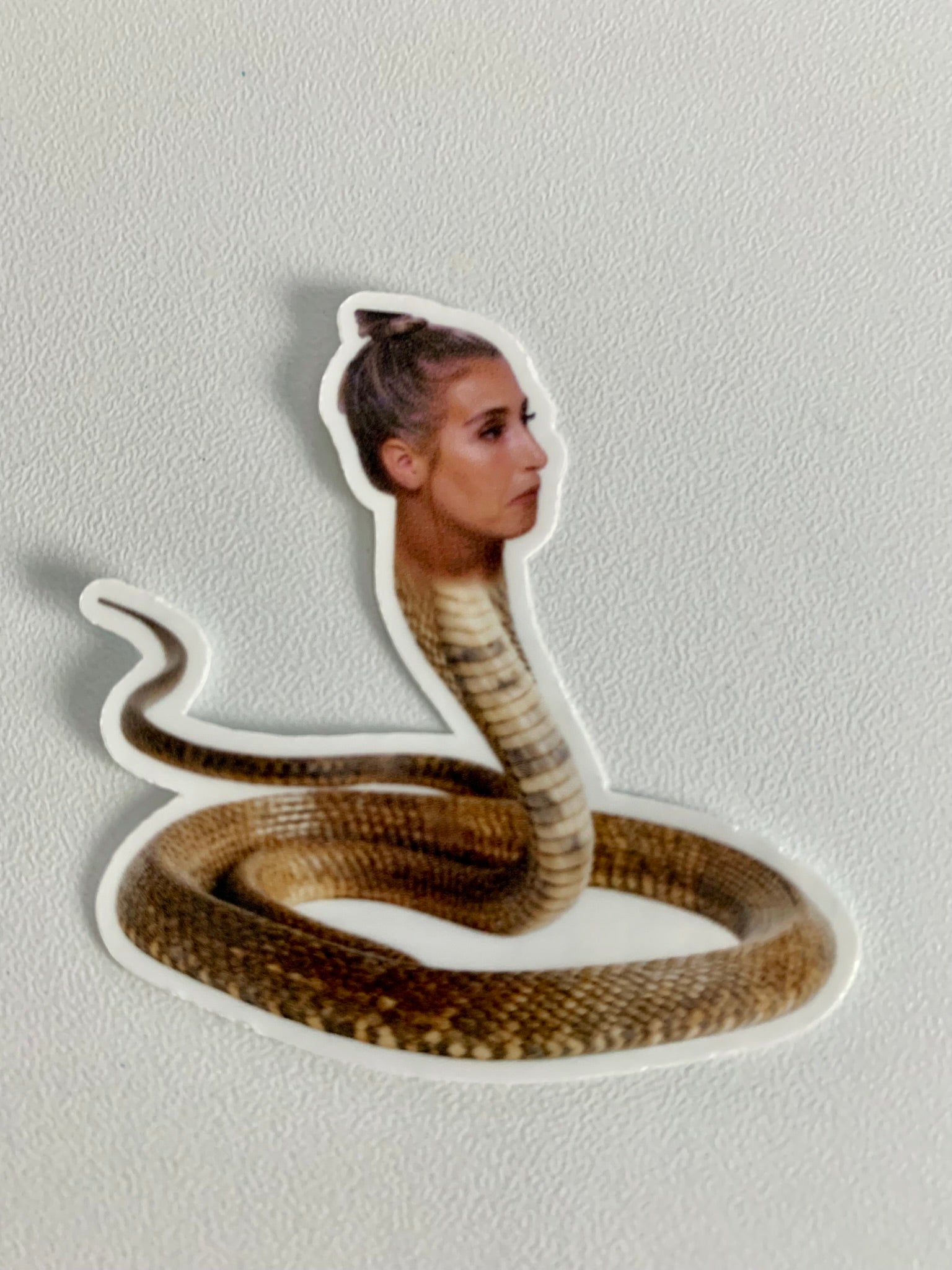 Snakey Amanda Sticker