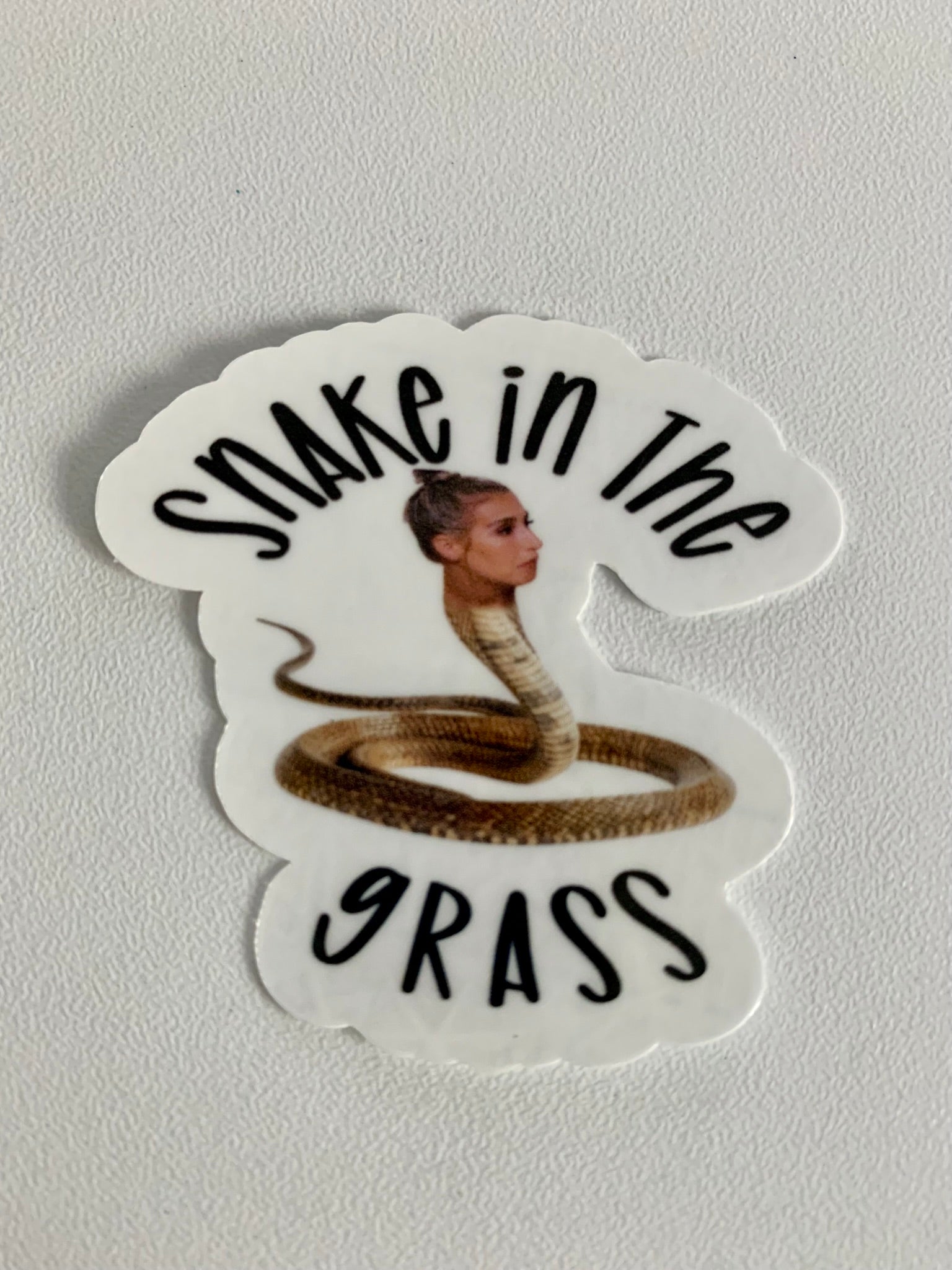 Snake in the Grass Sticker