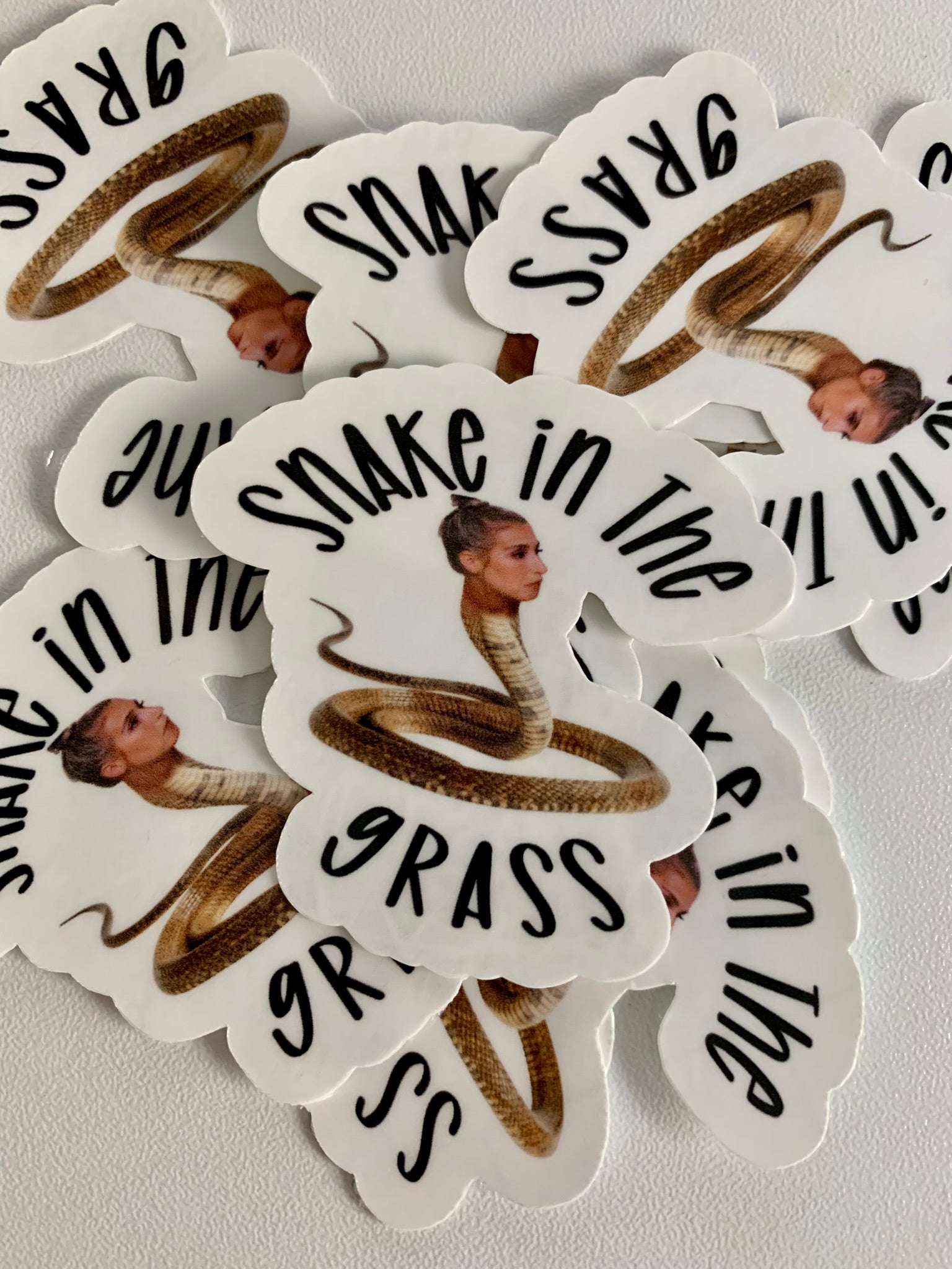 Snake in the Grass Sticker